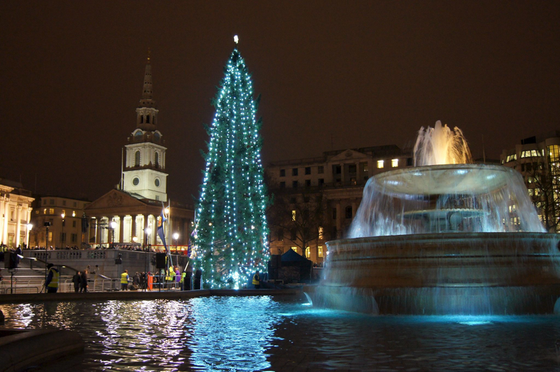Illustration for article titled Trafalgar Square Christmas tree.